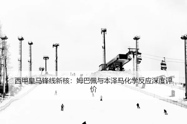 xi-jia-huang-ma-feng-xian-xin-he-mu-ba-pei-yu-ben-ze-ma-hua-xue-fan-ying-shen-du-ping-jia-2-169.jpg