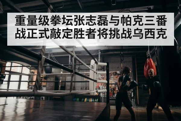 boxer training