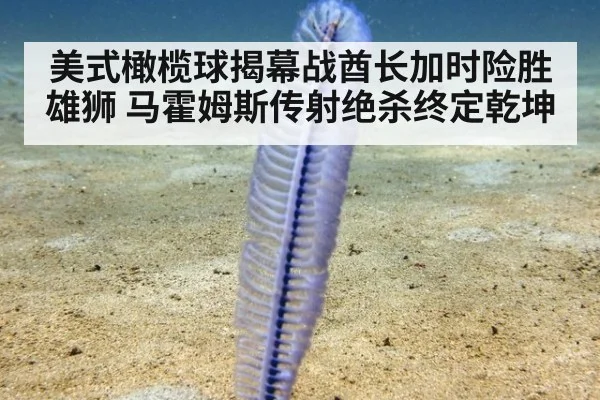 美式橄榄球揭幕战酋长加时险胜雄狮 马霍姆斯传射绝杀终定乾坤