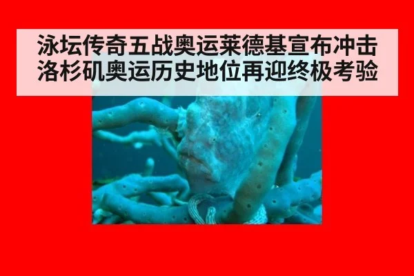 泳坛传奇五战奥运莱德基宣布冲击洛杉矶奥运历史地位再迎终极考验
